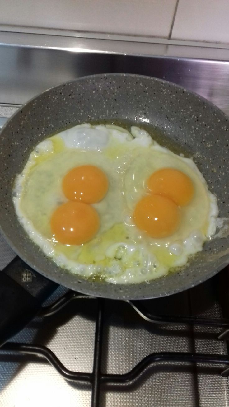 egg