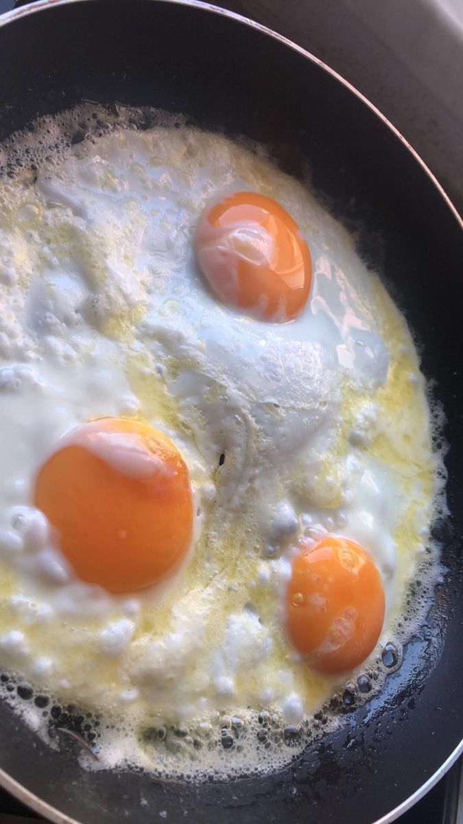 egg